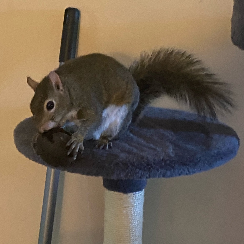 Meet your Posher, Tonya